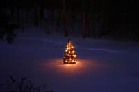Wishing you... — 